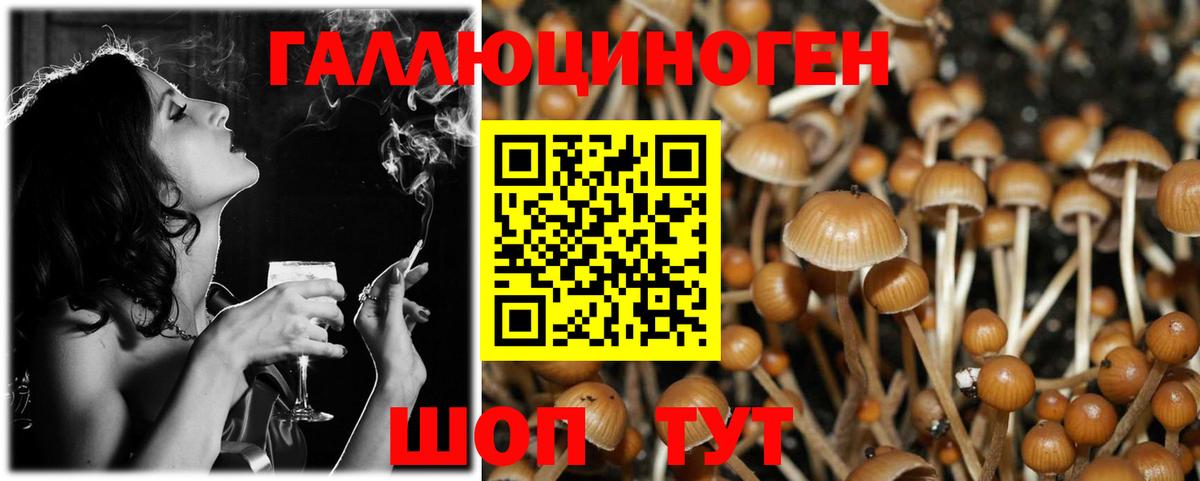 Саяногорск  Псилоцибиновые грибы Magic Shrooms  Вход с VPN 